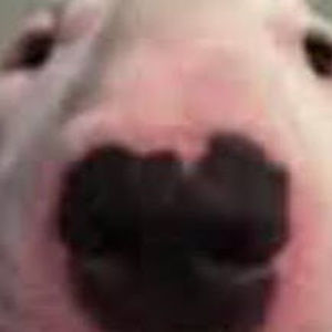 Meet your Posher, Nate